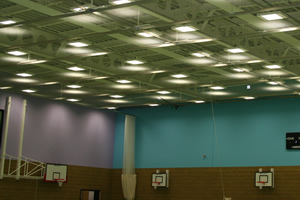 Sports hall walls blue and lilac